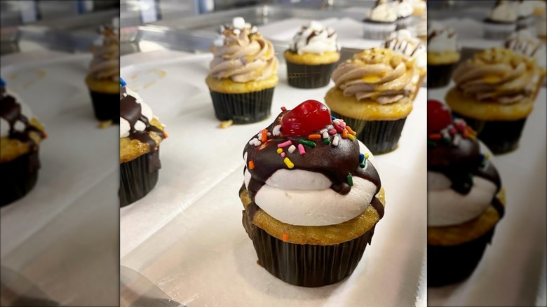 assorted cupcakes with various types of frosting and toppings