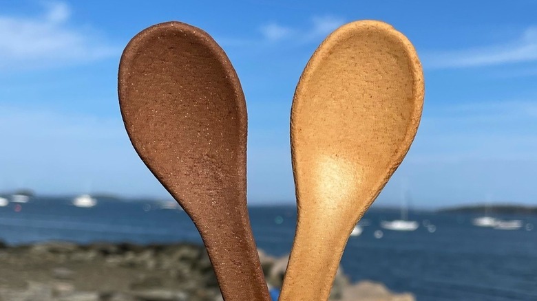 Incredible Eats edible spoons at beach