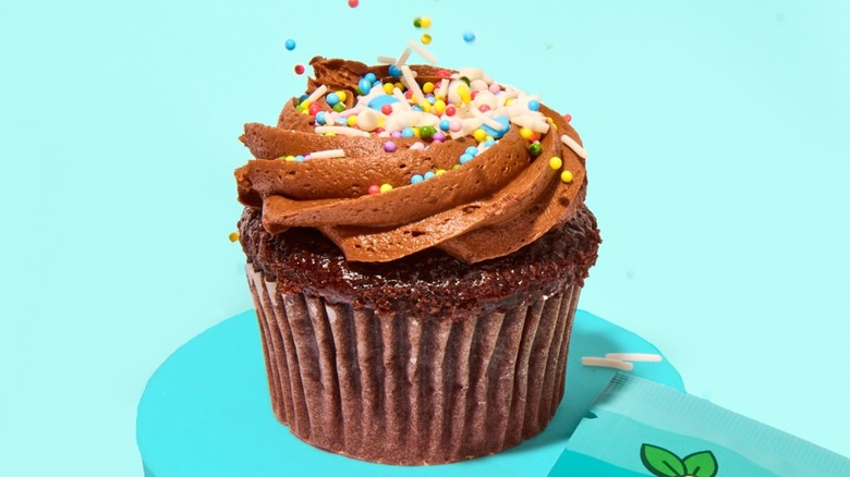 Chocolate cupcake