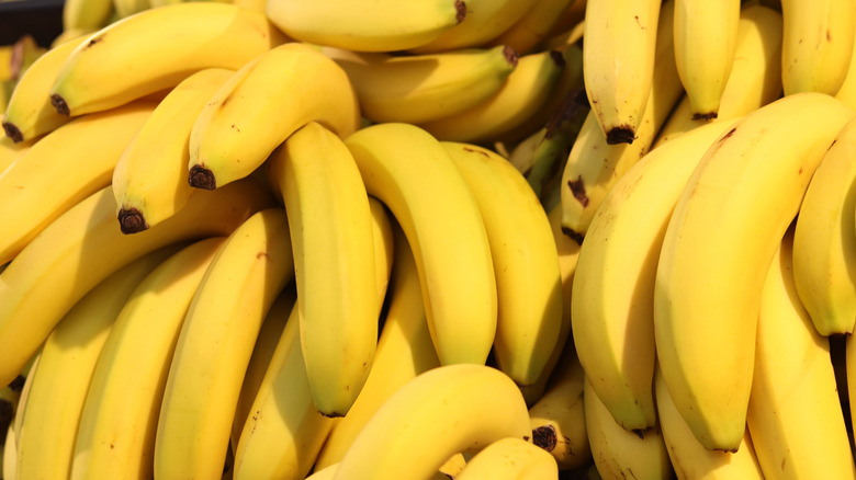 A bunch of bananas