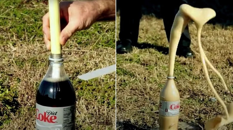 The Science Behind the Mentos and Coke Experiment - wide 5