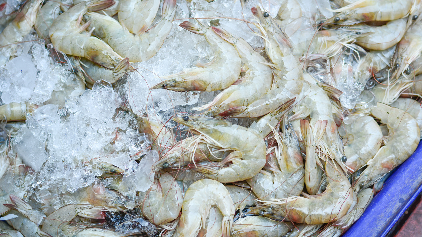 Here's What The Numbers On Shrimp Labels Really Mean