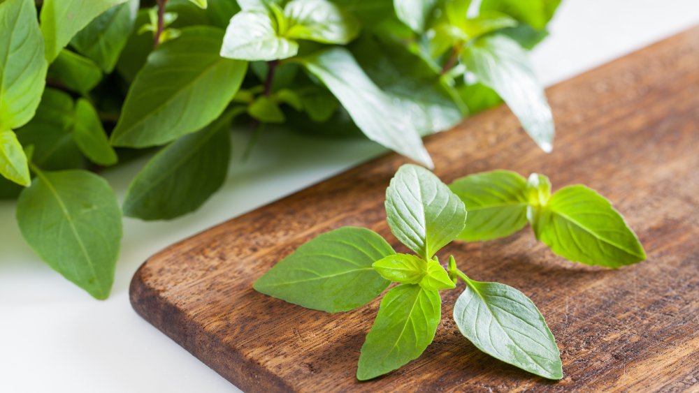 Thai basil