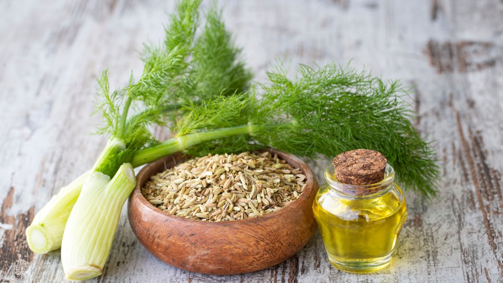 Here's What You Can Substitute For Fennel