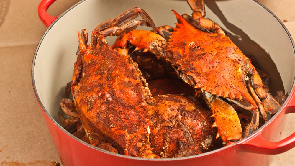 Chesapeake Bay blue crabs in a pot with Old Bay seasoning 