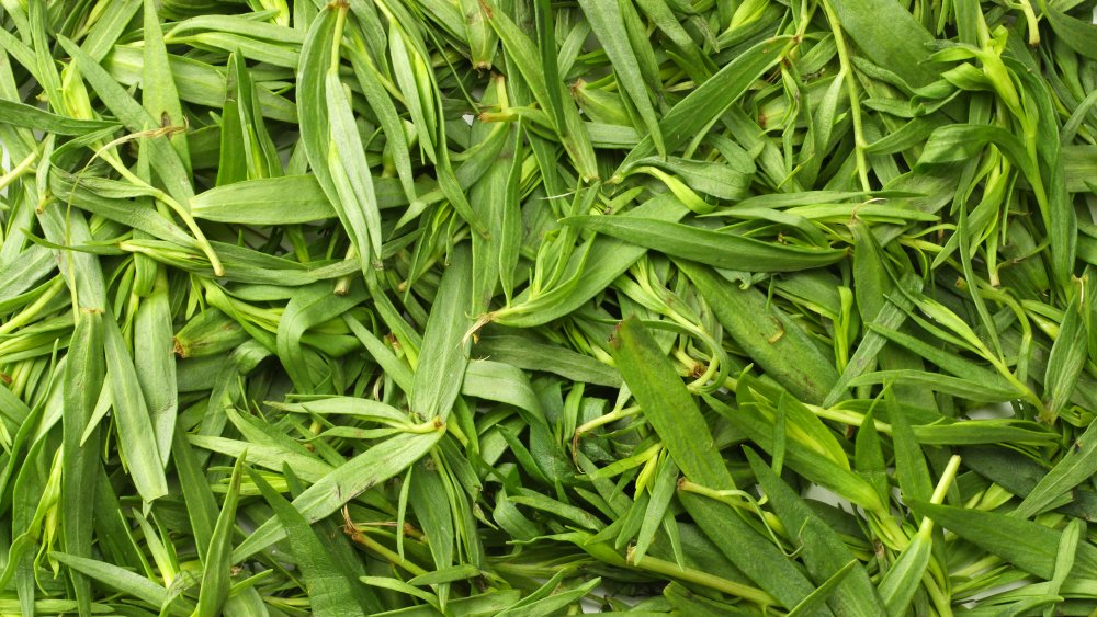 Here's What You Can Substitute For Tarragon