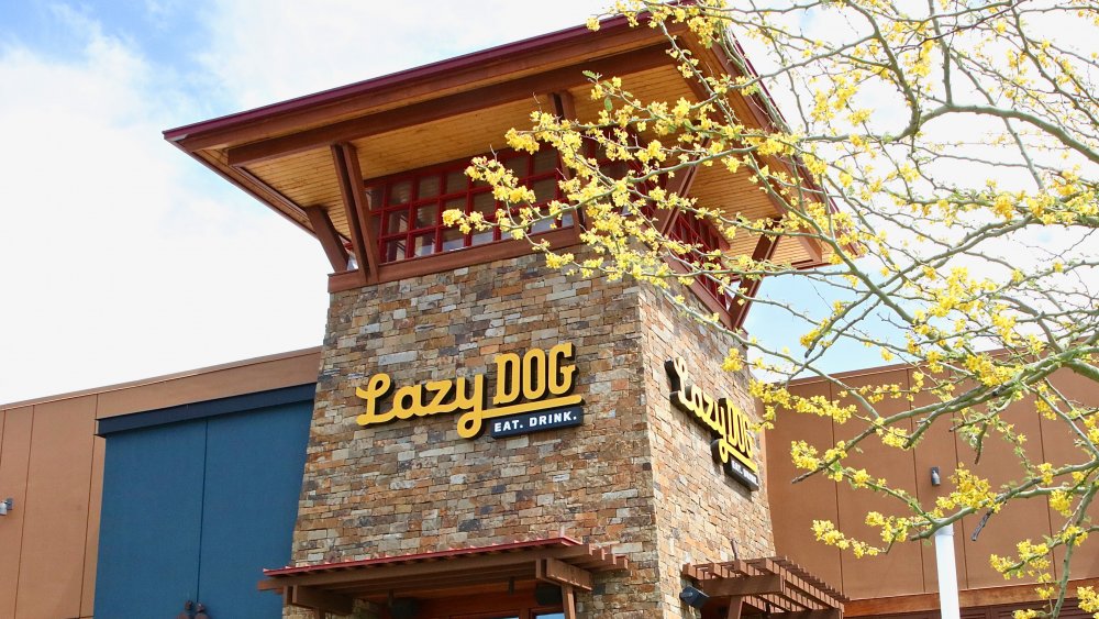 Lazy Dog Restaurant & Bar