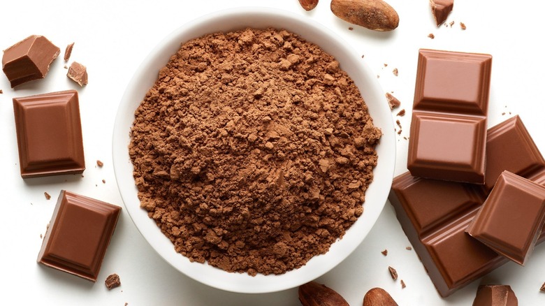 Bowl of cocoa powder