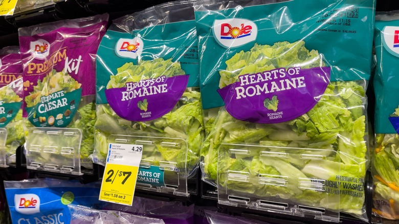 Can You Eat Bagged Salad After Expiration Date? - Vending Business ...