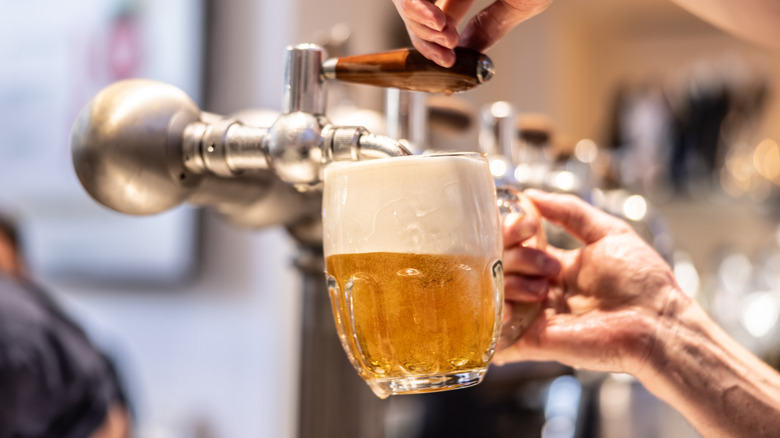 Pouring a draft beer into a glass stein