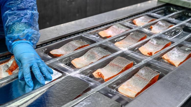 Fish being handled at facility