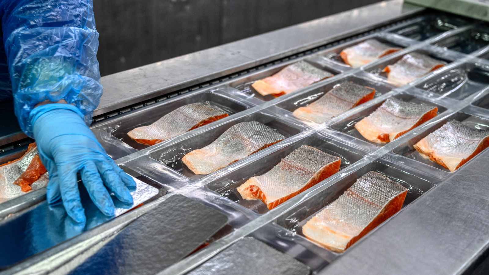 Here's Why 150 Tons Of SalmonellaTainted Fish Is Being Recalled