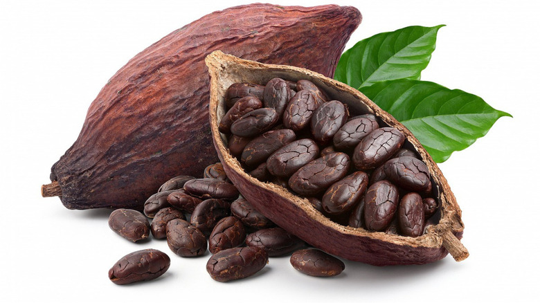 cacao beans inside fruit casing