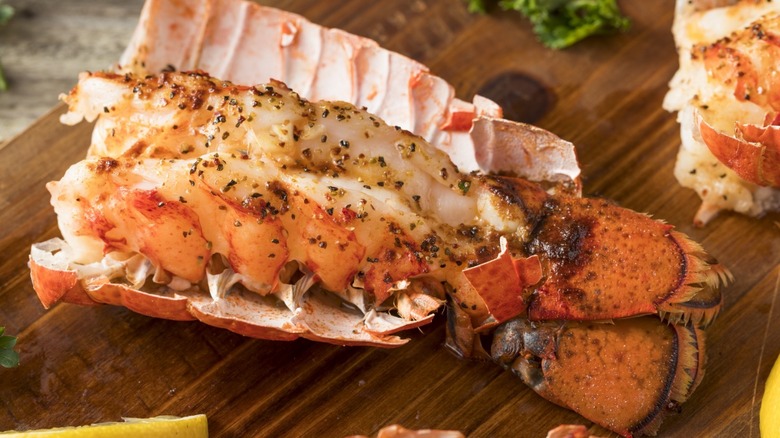 cooked maine lobster tail