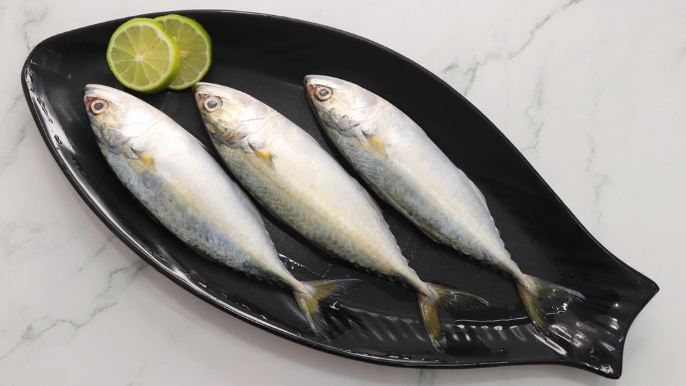 Mackerel on fish-shaped dish