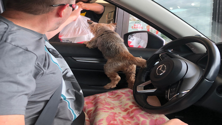 man getting kfc drive through order