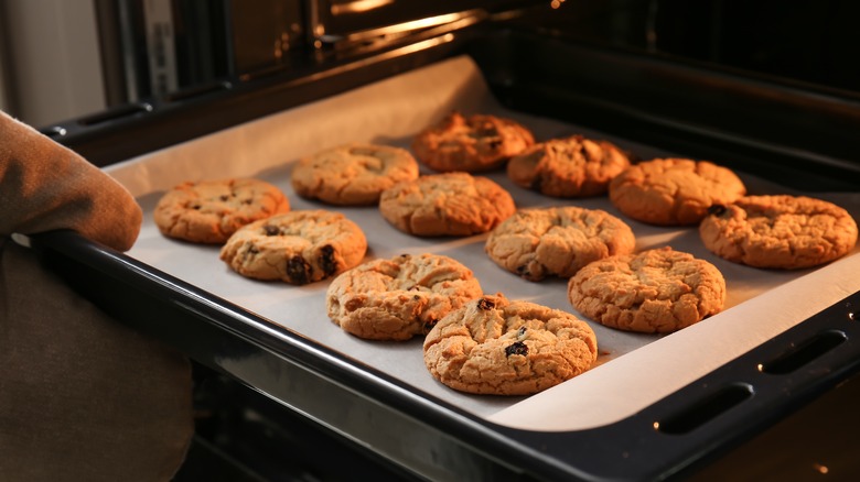 Pan of fresh-baked cookies