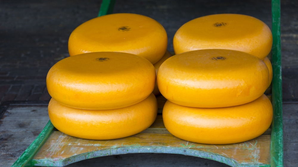 Gouda cheese on a sled