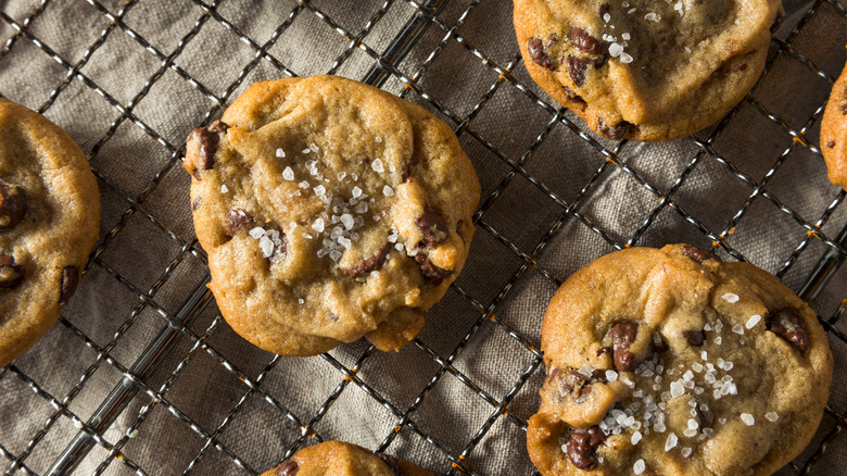 sea salt chocolate chip cookies 