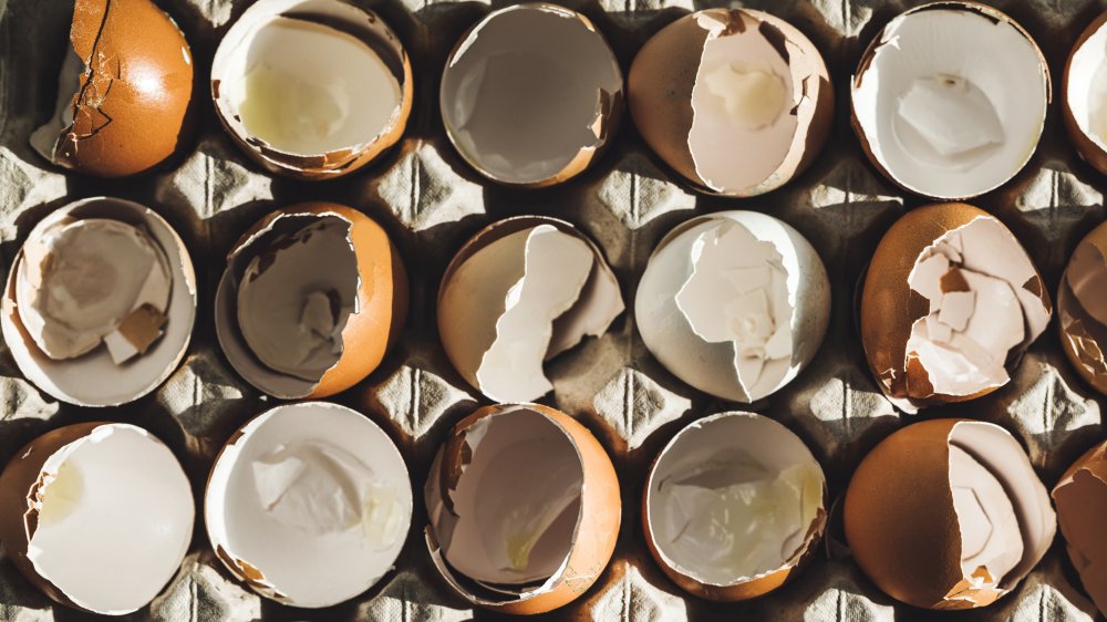 egg shells in a carton