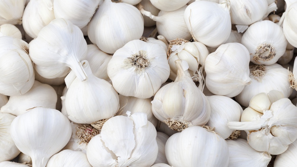 garlic for sale