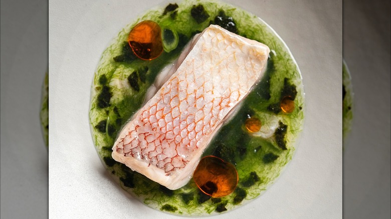 White fish served over a green sauce, on a white plate