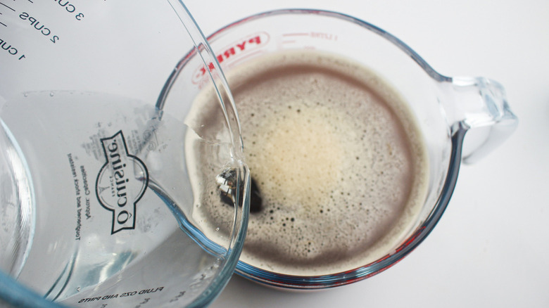 Instant protein coffee mix