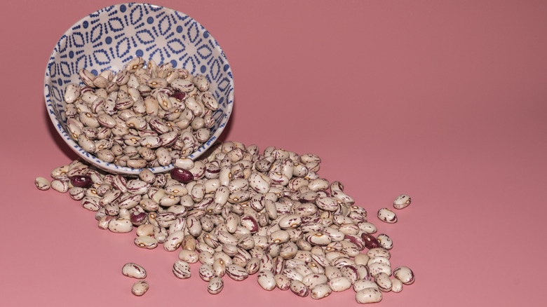 Raw pinto beans spilling out of a bowl into the foreground over a pink background