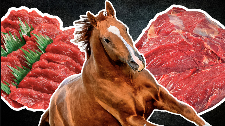 Horse and horse meat