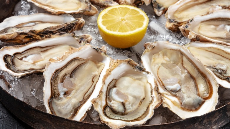A dozen raw oysters on a platter