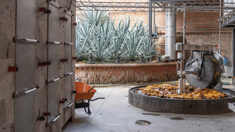 Tequila distillery with agave plants, ovens, and a crushing roller