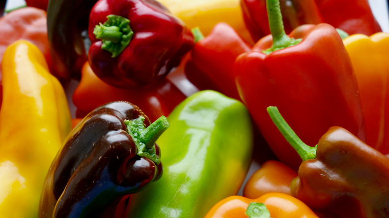 red, yellow, green, and purple bell peppers