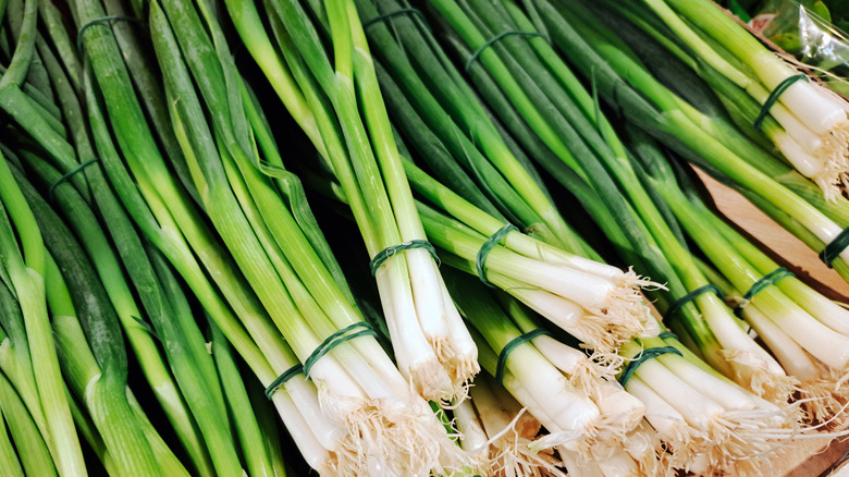 Bundles of scallions