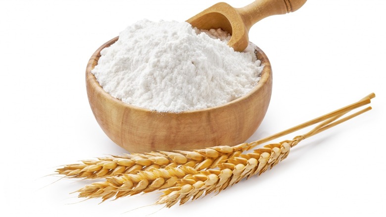 Wheat stalks next to bowl of flour
