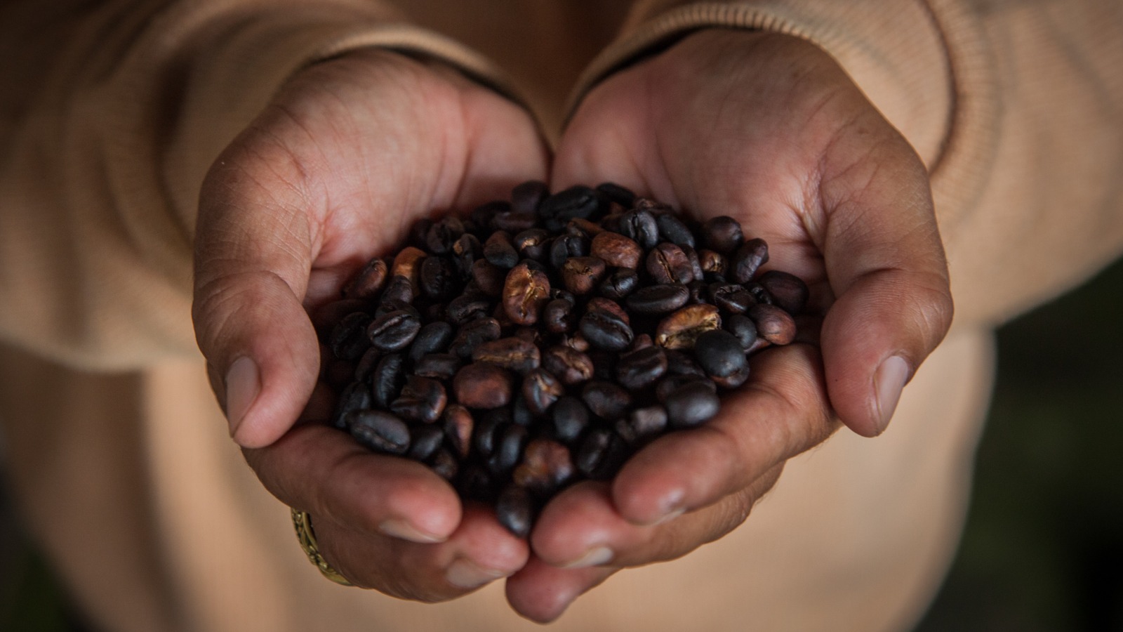 How Climate Change Is Threatening The Future Of Coffee