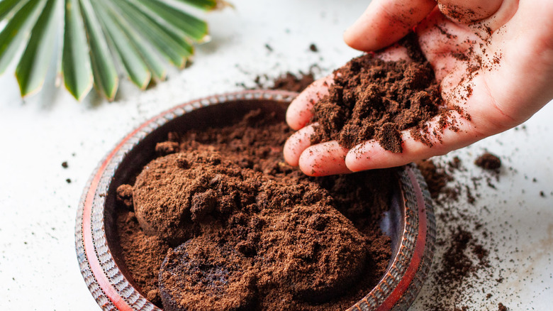 Person with coffee grounds in hand