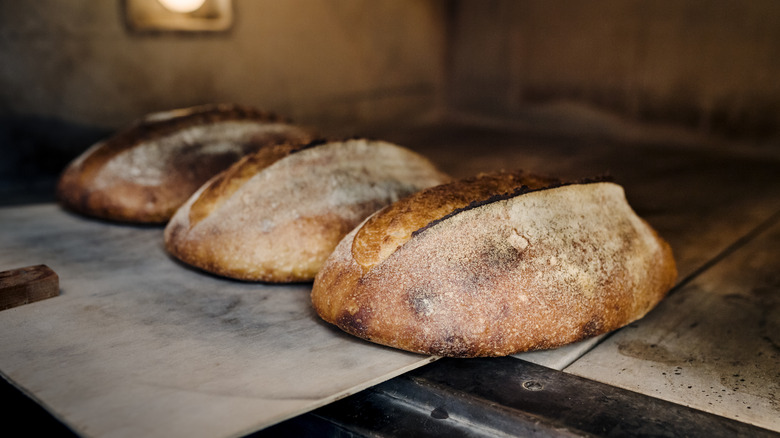 Fresh loaves of bread