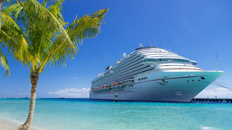 A cruise ship on water