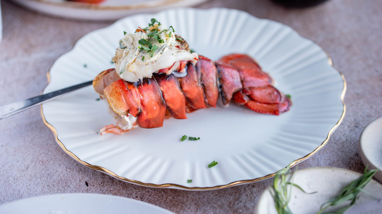 cooked lobster tail on plate