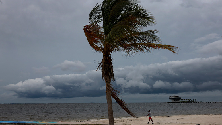 Advancing Hurricane in Florida