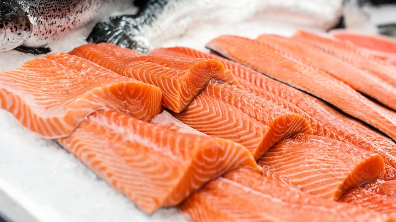 Salmon against a white background