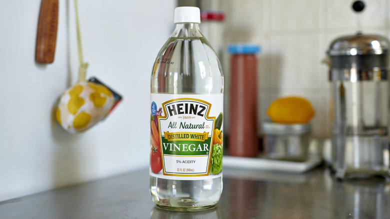 White vinegar bottle on counter