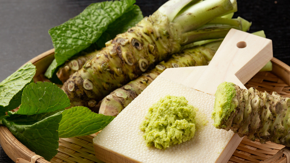 Japanese wasabi plants