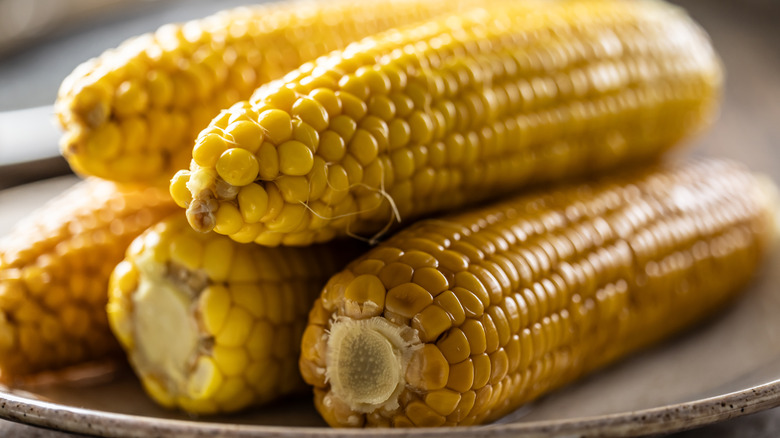 Ears of boiled corn on a plate.