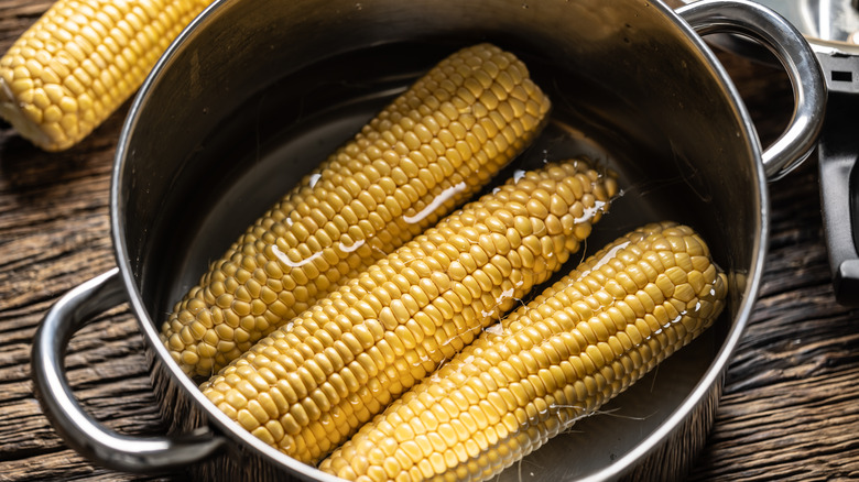 Three cobs of corn in a bot of water.