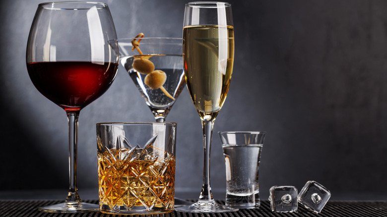 Glasses of wine, martini, whiskey, and a shot