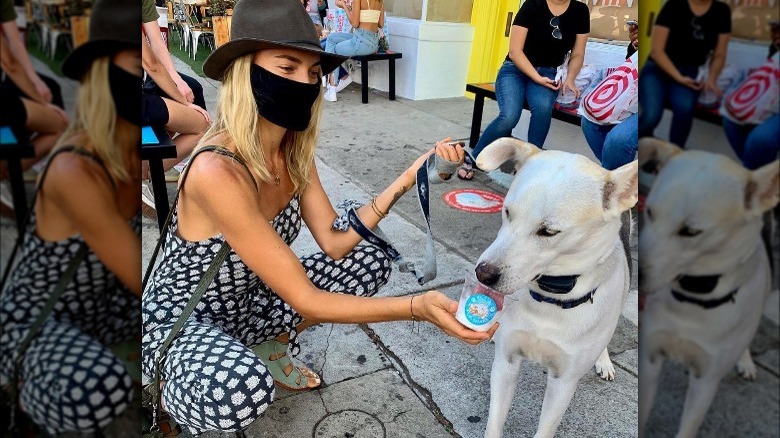 Dog and owner at Monty's