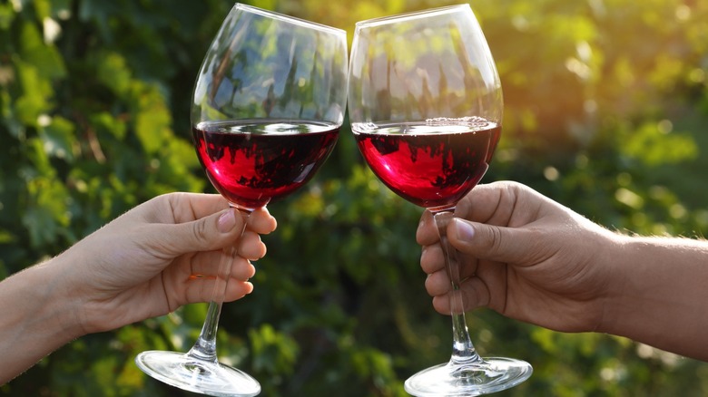 Two hands clink glasses in a vineyard
