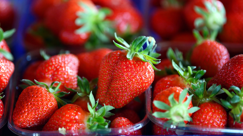 Strawberries in plastic pint cases