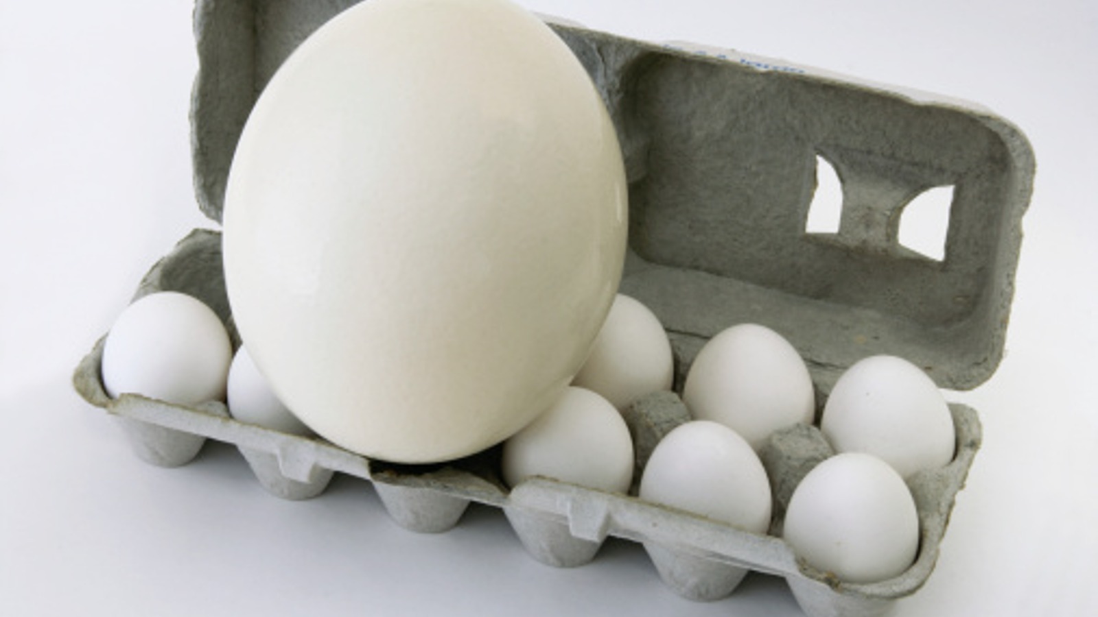 How Ostrich Eggs Compare To The Chicken Version – Mashed